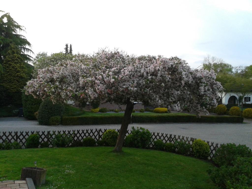 Rene'S B&B Kerkrade Bagian luar foto