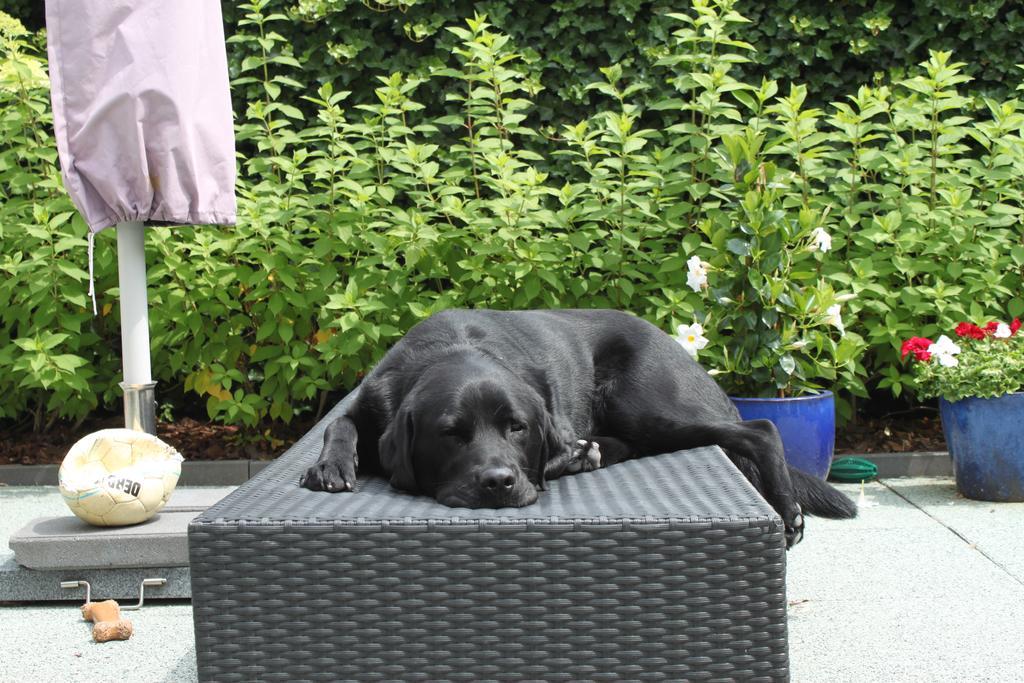 Rene'S B&B Kerkrade Bagian luar foto